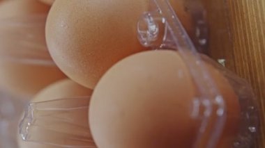 A woman's hand takes chicken eggs from a plastic container.Chicken brown fresh raw eggs in plastic box. An egg carton containing ten eggs. Video for the vertical story.