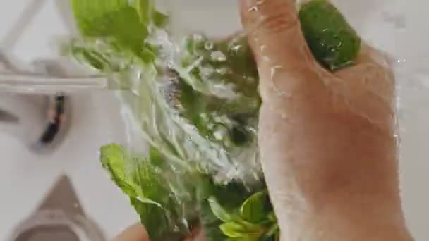 Close Female Hands Wash Mint Leaves Kitchen Sink Macro Frame — Stock Video