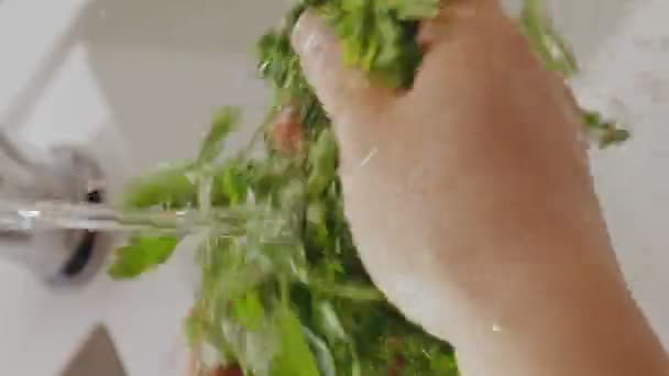 Close Female Hands Wash Parsley Leaves Kitchen Sink Macro Frame — Stockvideo