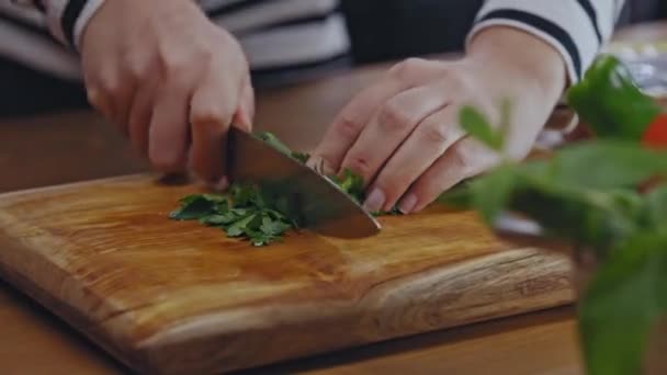 Close Hands Woman Cutting Parsley Wooden Floor Kitchen Woman Cutting — Vídeo de Stock
