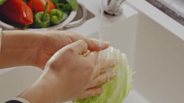 Close Female Hands Wash Lettuce Leaves Kitchen Sink Macro Frame — Stockvideo