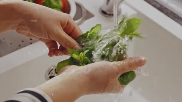Close Female Hands Wash Mint Leaves Kitchen Sink Macro Frame — Wideo stockowe