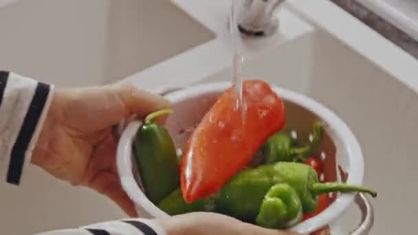 水道水の下で野菜を洗う女性の手 ピーマンを洗う女性の手をハイミング 水道水でトマト — ストック動画