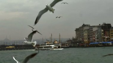 Sunset sea traffic on the Bosphorus strait, seagulls flying behind a ferry and Kabata, cityscape in the background.