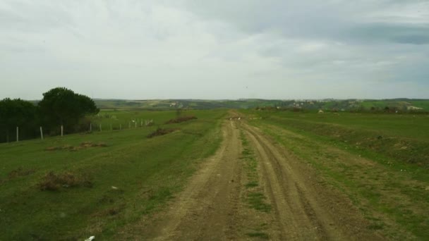 Landscape View Car Driving Dirt Road Dirt Country Road Green — Wideo stockowe