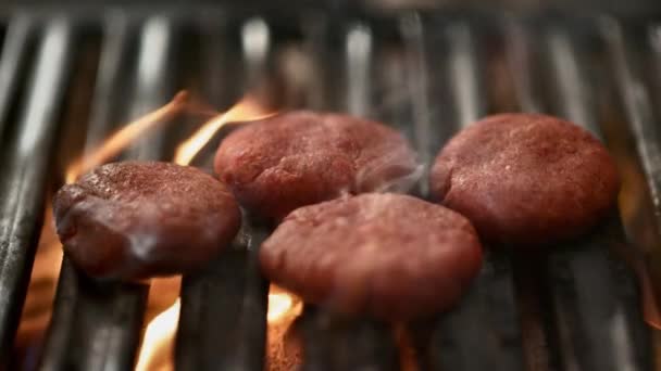 Traditional Delicious Dish Meatballs Cooked Grill Beef Burgers Cooked Flaming — Wideo stockowe