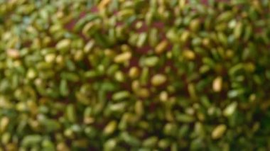 Close-up shot of salted peanuts flying towards the camera on a red background in slow motion. Green pistachios coming towards camera in 4K, Super slow motion