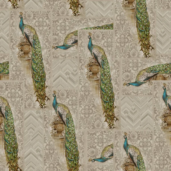 seamless pattern with peacock feathers. vector illustration