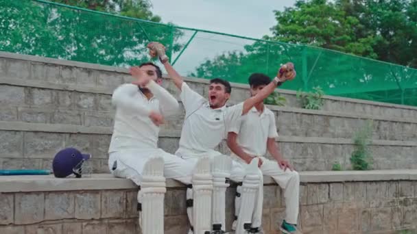 Kriket Oyuncuları Stadyumda Kriket Izlerken Takımlarının Zaferini Bağırıyor Kutluyorlar Turnuva — Stok video