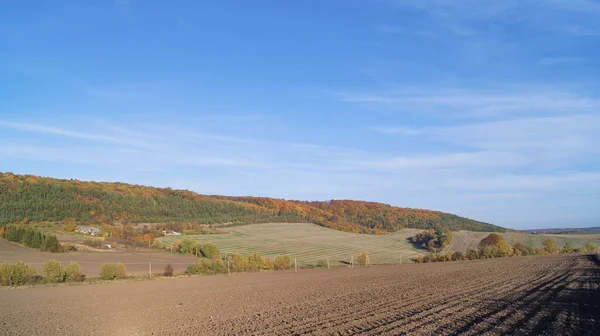 Tarım Tarlanın Ekilmeye Hazırlanması Sonbaharın Parlak Renkleri Sonbahar Güneşli Bir — Stok fotoğraf