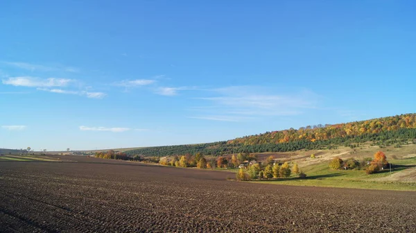 Jordbruk Beredning Fältet För Sådd Höstens Ljusa Färger Hösten Solig — Stockfoto