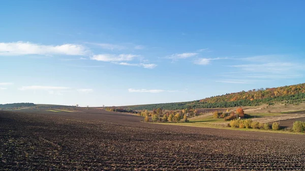 播種のためのフィールドの準備 秋の明るい色 秋の晴れた日 重い収穫 仕事中の農業機械 ウクライナのフィールドで 電話やタブレットの背景 ブルザニ地方の農業 — ストック写真