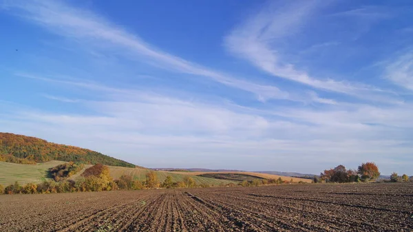 Jordbruk Beredning Fältet För Sådd Höstens Ljusa Färger Hösten Solig — Stockfoto