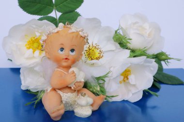 A bouquet of wild roses on a colored background. Toy-doll. Puppet child. 