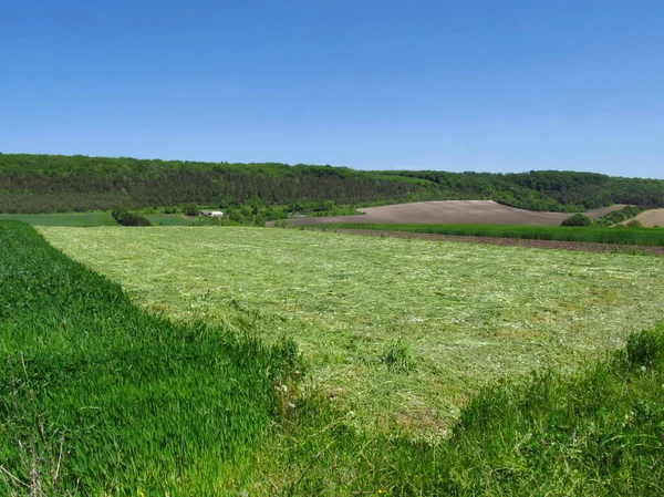 stock image Blue sky over Ukraine. Ukrainian MIR.  A field with freshly cut grass.