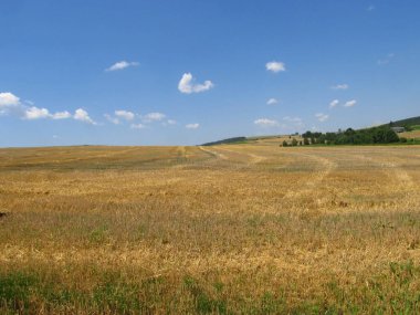  Tarım. Tarlanın ekilmeye hazırlanması. Parlak renkler. Güneşli bir gün. Hasat zamanı. Tarım makineleri çalışıyor. Ukrayna 'nın Tarlaları' nda. Telefon ve tabletler için arka plan. Brzezani bölgesinde tarım.