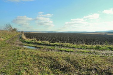 Sonbahar güneşli bir gün. Ukrayna tarlalarını sürdüm. Telefon ve tabletler için kırsal alanlar. Berezhny bölgesinde Verbiv köyü yakınlarındaki tarım arazileri.