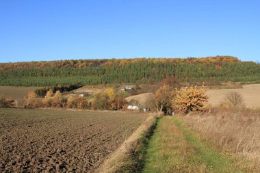 Sonbahar Ukrayna toprakları. Berezhany tarlalarından toplanmış. Ukrayna 'dan gelen ürünler. Telefon ve tabletler için sonbahar arkaplanı.