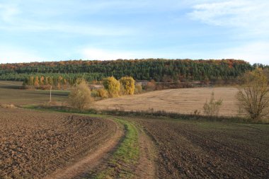 Sonbahar Ukrayna toprakları. Berezhany tarlalarından toplanmış. Ukrayna 'dan gelen ürünler. Telefon ve tabletler için sonbahar arkaplanı.