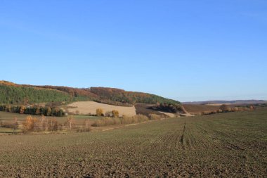 Sonbahar Ukrayna toprakları. Berezhany tarlalarından toplanmış. Ukrayna 'dan gelen ürünler. Telefon ve tabletler için sonbahar arkaplanı.
