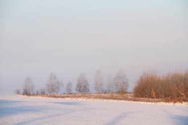 Snow-covered Ukrainian fields and gardens. Backgrounds of winter nature for phones and tablets. Seasons of the year. clipart