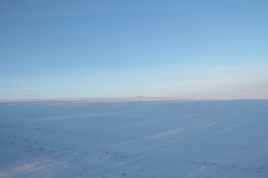 Karla kaplı Ukrayna tarlaları ve bahçeleri. Telefon ve tabletler için kışın doğası. Yılın mevsimleri.