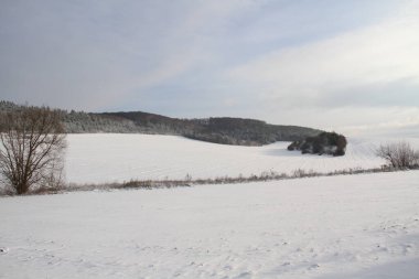 Karla kaplı Ukrayna tarlaları ve bahçeleri. Telefon ve tabletler için kışın doğası. Yılın mevsimleri.