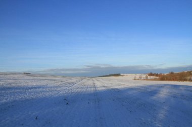 Snow-covered Ukrainian fields and gardens. Backgrounds of winter nature for phones and tablets. Seasons of the year. clipart