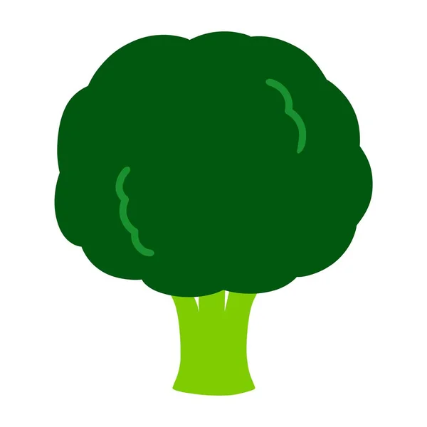 Illustrazione Semplici Broccoli — Foto Stock