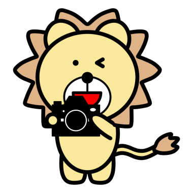 Bir aslanın kamera tutuş görüntüsü.