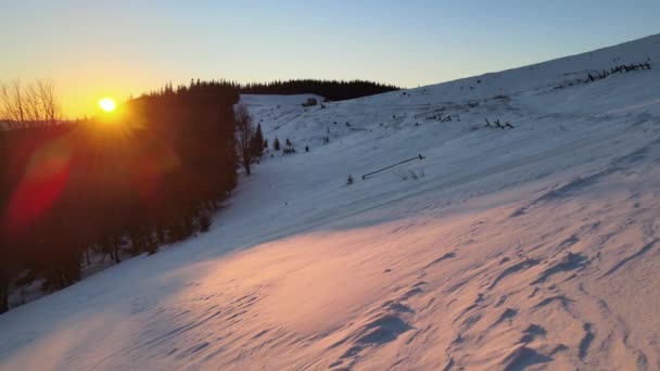 Luftnebellandschaft Mit Immergrünen Kiefern Die Nach Starkem Schneefall Winterlichen Bergwald — Stockvideo