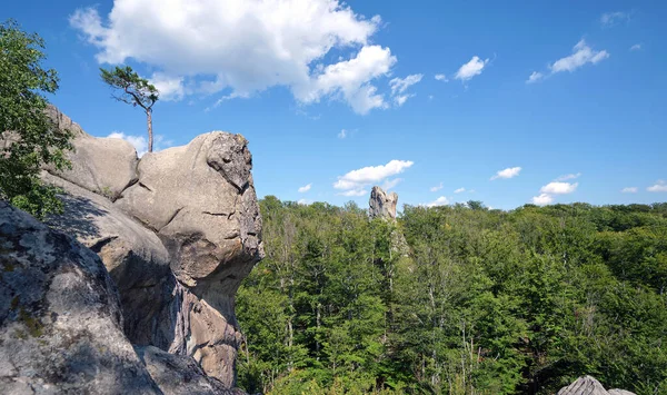 Huge Rocky Boulder Formations High Mountains Growing Trees Summer Sunny — Foto de Stock