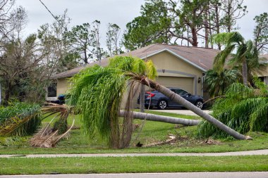 Florida 'daki Ian kasırgasından sonra kiremitleri eksik olan hasarlı bir çatı. Doğal afetin sonuçları.