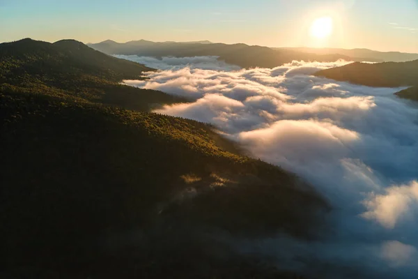 stock image Aerial view of foggy evening over dark pine forest trees at bright sunset. Amazingl scenery of wild mountain woodland at dusk.