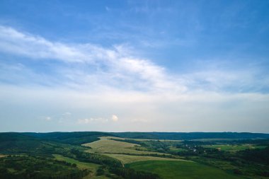 Açık mavi gökyüzünün açık hava manzarası yeşil ekili tarlalar, büyüyen ekinler ve parlak yaz gününde uzak ormanlık alanlar..