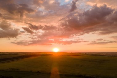 Canlı bir yaz akşamında olgun buğdayla ekili sarı tarım arazisinin havadan manzarası..