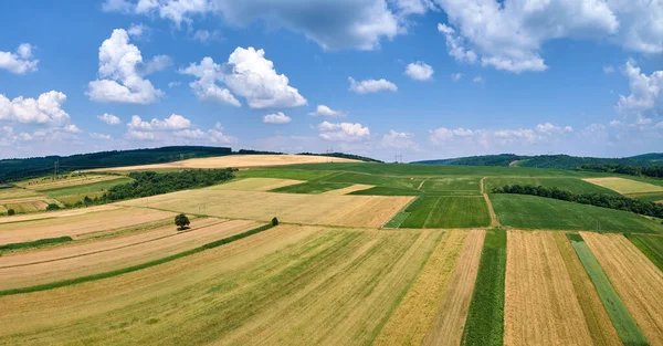 Vzdušná Krajina Pohled Zeleně Obdělávaná Zemědělská Pole Rostoucí Plodiny Jasný — Stock fotografie