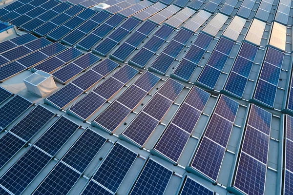 Aerial View Blue Photovoltaic Solar Panels Mounted Industrial Building Roof — 스톡 사진