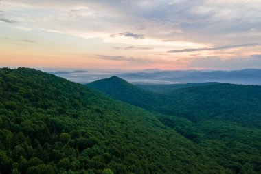 Gün batımında dağ tepelerini kaplayan koyu ladin ağaçlı yeşil çam ormanlarının hava manzarası. Yukarıdan orman manzarası yok.