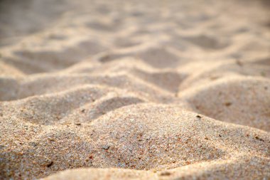 Sahil şeridini kaplayan temiz sarı kum yüzeyi gün ışığıyla aydınlatılıyor. Seyahat ve tatil kavramı.