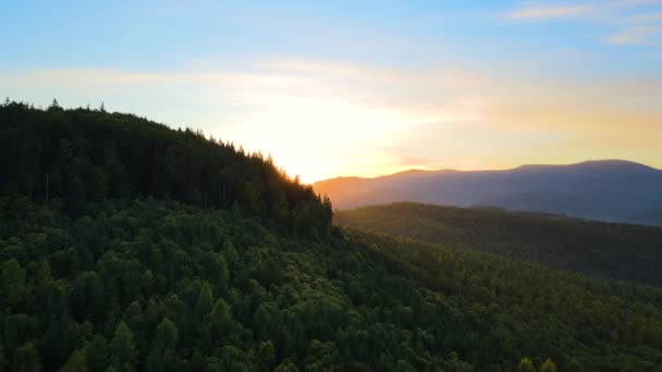 秋の日の出に森の松の木で覆われた暗い山の丘と素晴らしい景色の空中ビュー 夜明けに美しい野生の森 — ストック動画