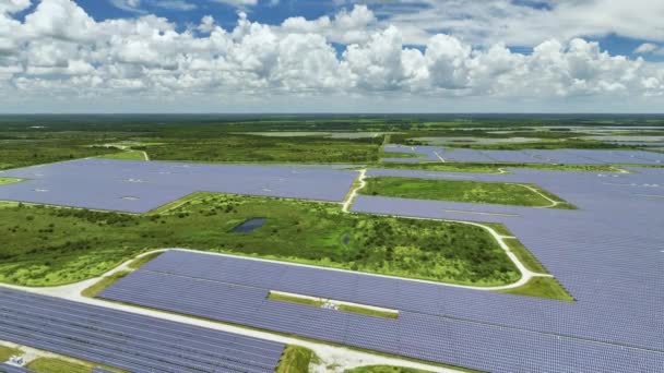 Flygfoto Över Stora Hållbara Elkraftverk Med Många Rader Solceller För — Stockvideo
