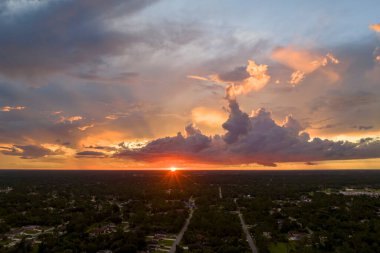 Banliyö manzarası. Akşamları Florida 'nın sakin bölgesinde yeşil palmiye ağaçları arasında özel evler var..