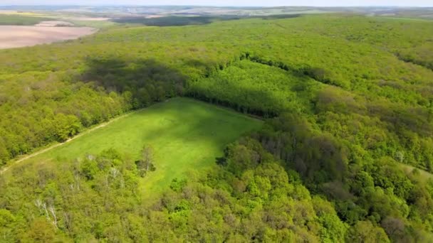 Vista Aérea Del Frondoso Bosque Verde Con Gran Área Desnuda — Vídeos de Stock