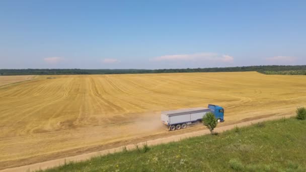 Luchtfoto Van Vrachtwagen Vrachtauto Rijden Onverharde Weg Tussen Agrarische Tarwevelden — Stockvideo