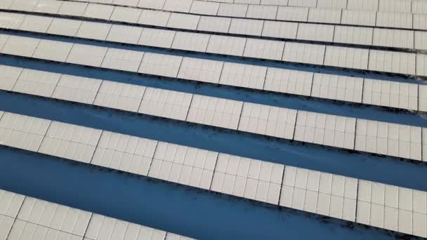 Aerial View Sustainable Electrical Power Plant Solar Photovoltaic Panels Covered — Video Stock