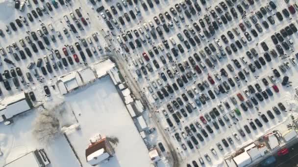 Widok Powietrza Pojazdu Otwarty Rynek Partii Wielu Samochodów Sprzedaż Zaparkowane — Wideo stockowe