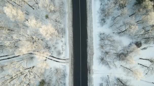 Luftaufnahme Der Winterlandschaft Mit Schneebedeckten Wäldern Und Schwarzer Asphaltstraße Kalten — Stockvideo