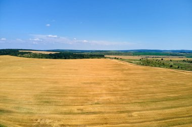 Buğday hasadından sonra kuru samanla ekilmiş sarı tarım arazisinin havadan manzarası.