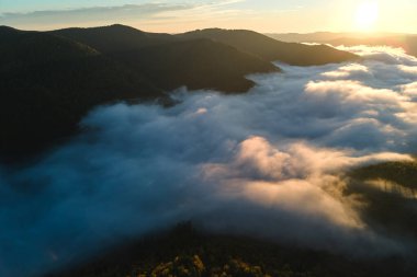 Sonbahar gündoğumunda karanlık dağ ormanları üzerinde parlak sisli bir sabah manzarası. Şafak vakti vahşi ormanın güzel manzarası.